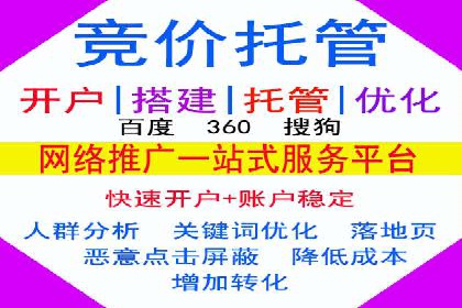 百度推广全攻略：成功案例剖析